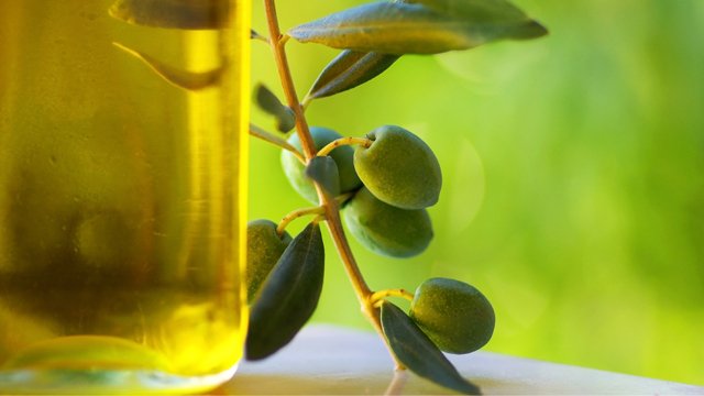 Оливковое масло: природный эликсир молодости 530