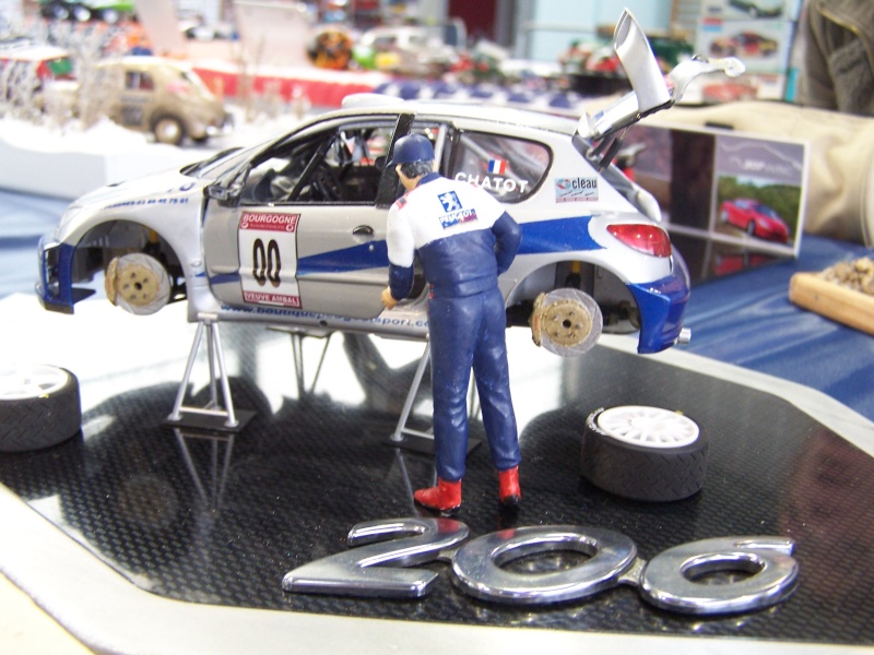 Peugeot 206 WRC Tamyia 100_4510