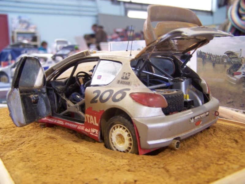 Peugeot 206 WRC Tamyia 100_4713