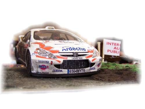 Peugeot 307 WRC Tamyia Photo_10