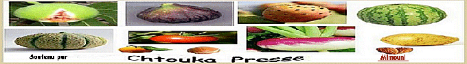 Chtoukapress perspective Amazigh Chtouk11
