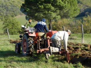 zetor 3511 Dscn0112