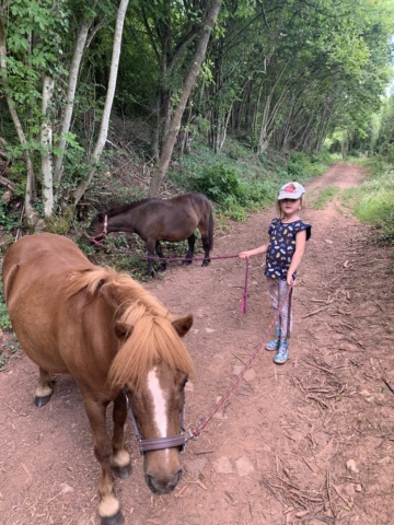 (Dept 71) 13 ans - ECLAIRE - Onc poney - jument - Réservée par Aurélie S. (mars 2020) Photo_10