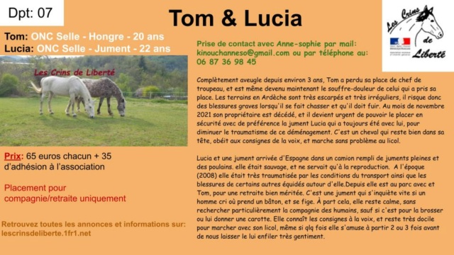 Dpt 07- 20 et 22 ans - TOM et LUCIA - ONC selle - Contact Laura Przose15