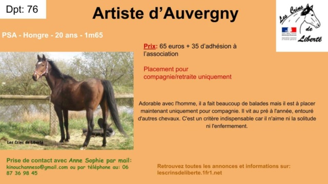Dep 76 - 20 ans - ARTISTE D'AUVERGNY - PSA- Contact Chloé - Page 2 Przose20