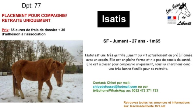 Dep 77- 24 ans - ISATIS - SF -  Contact Chloé Przose40