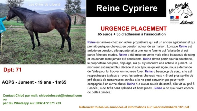 Dpt 71 - 19 ans - AQPS - Reine Cypriere - Contact Chloé Przose52