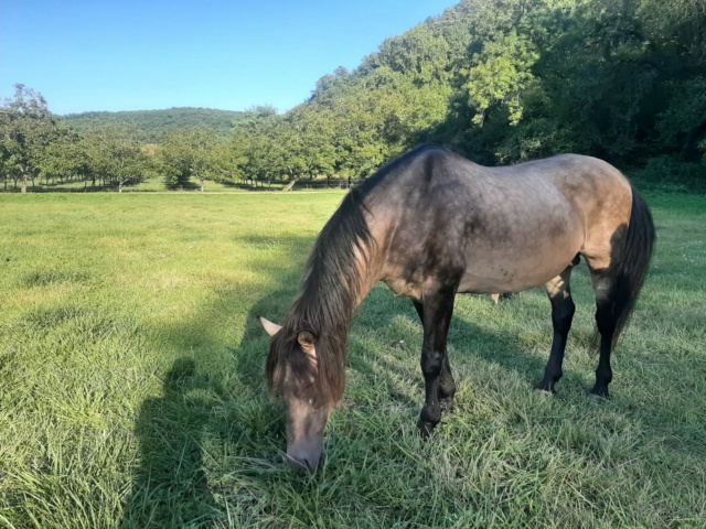 (Dept 19) 20 ans - IZBELO - ETALON isabelle - ONC SELLE - reservé par celine L. (sept 2022 Whatsa34