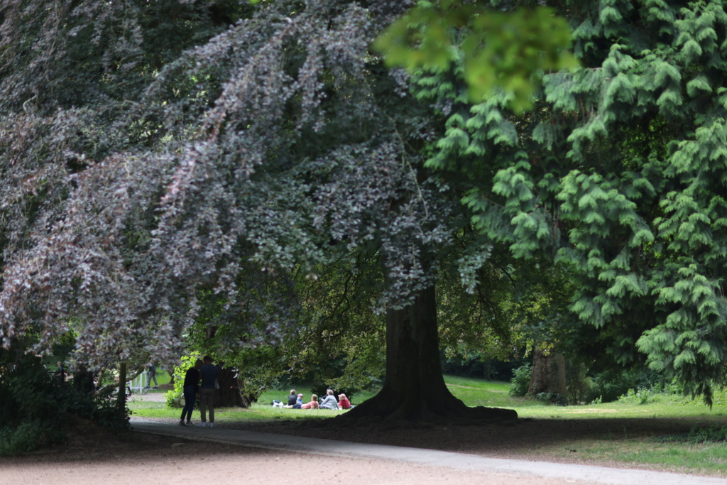 JARDIN DE SAINT omer 7n7a7910