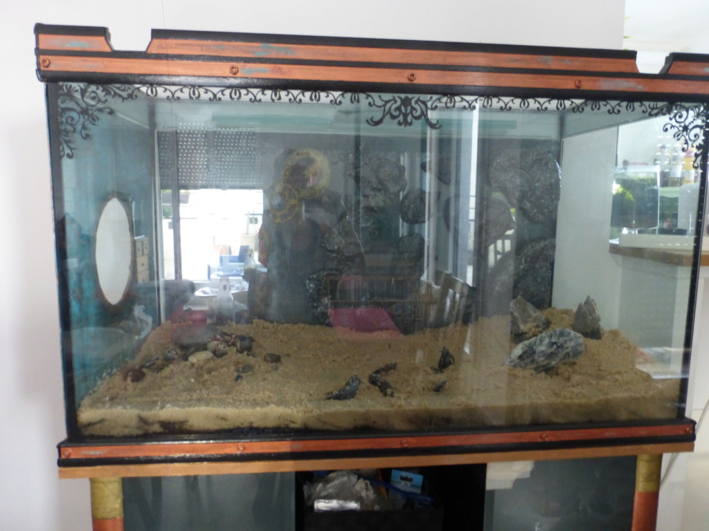 Custo de mon nouvel aquarium (475 litres net) P1160523