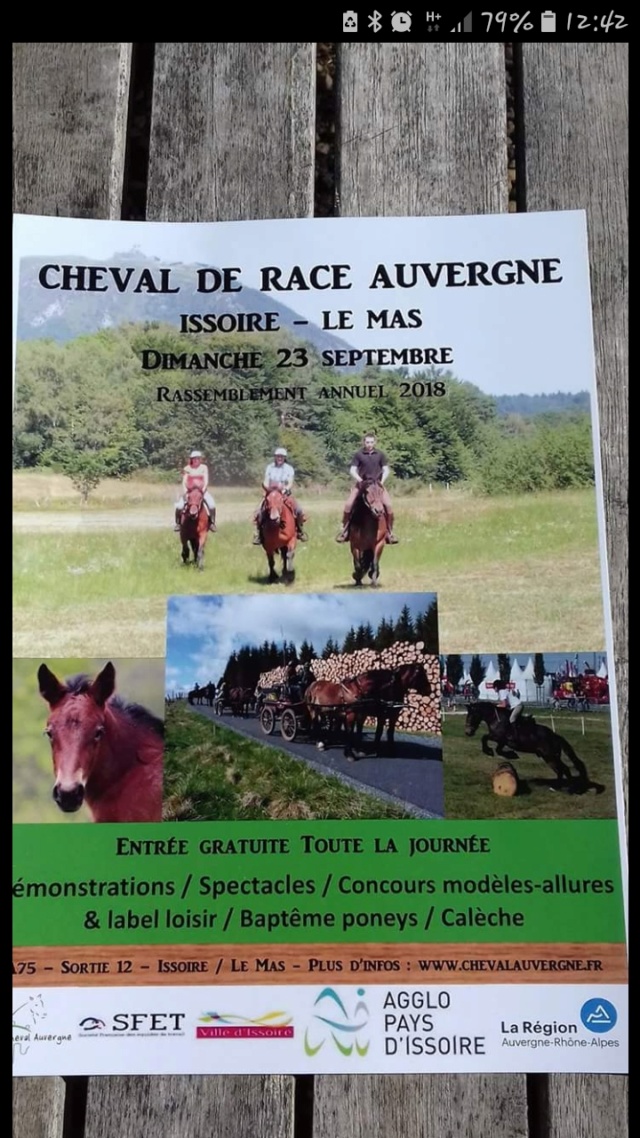 Rassemblement annuel cheval de race Auvergne  Screen10