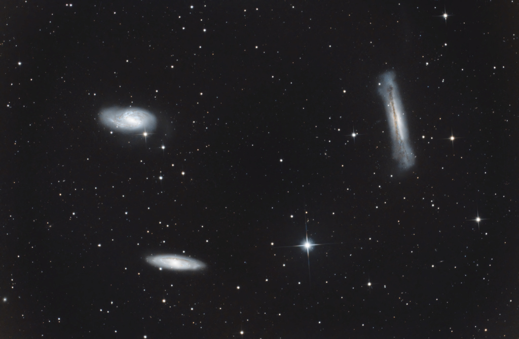 Le triplet du Lion NGC3628 M66 et M65 Le_tri10