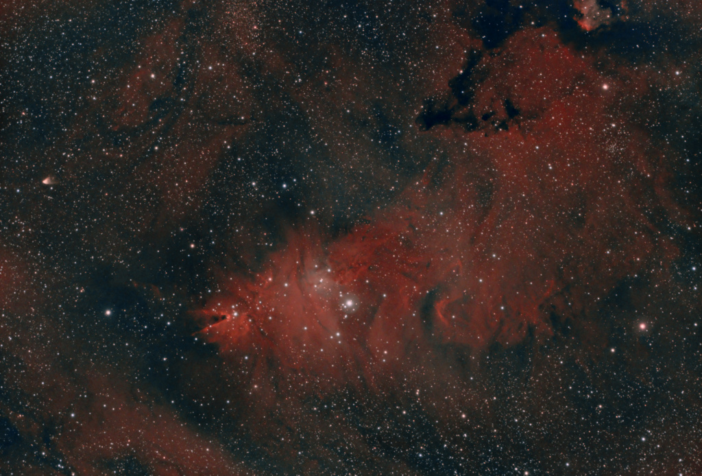 L'Arbre de Noël NGC2264 Ngc22610