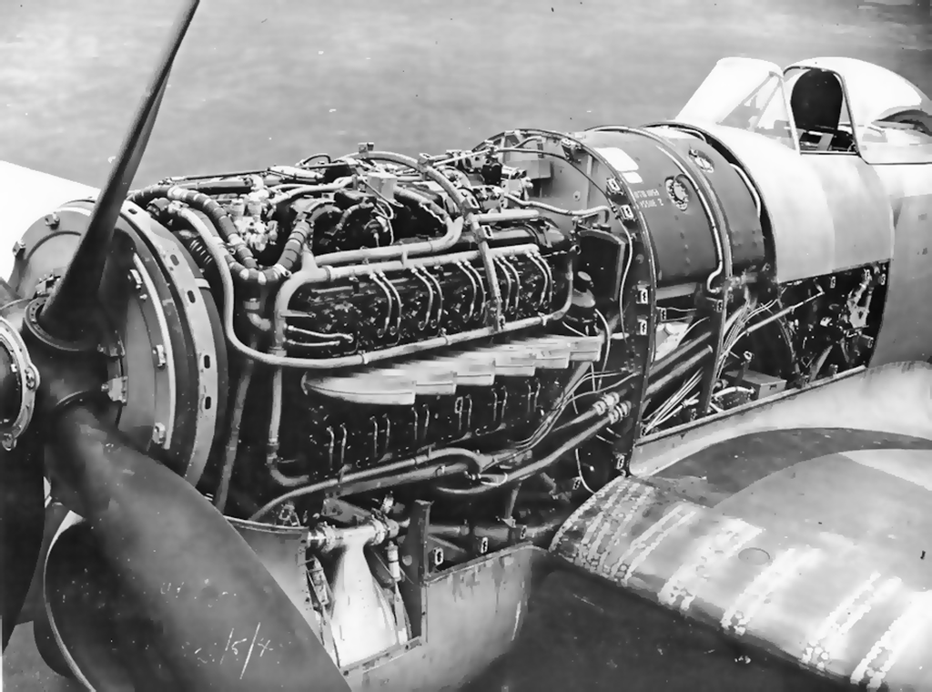 [Airfix] 1/24 - Hawker Typhoon MK 1 B "car door"  Img7110