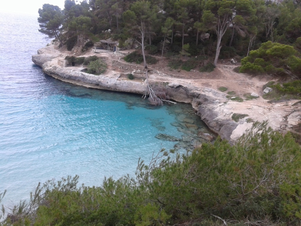 MENORCA - Página 2 Mitjan10