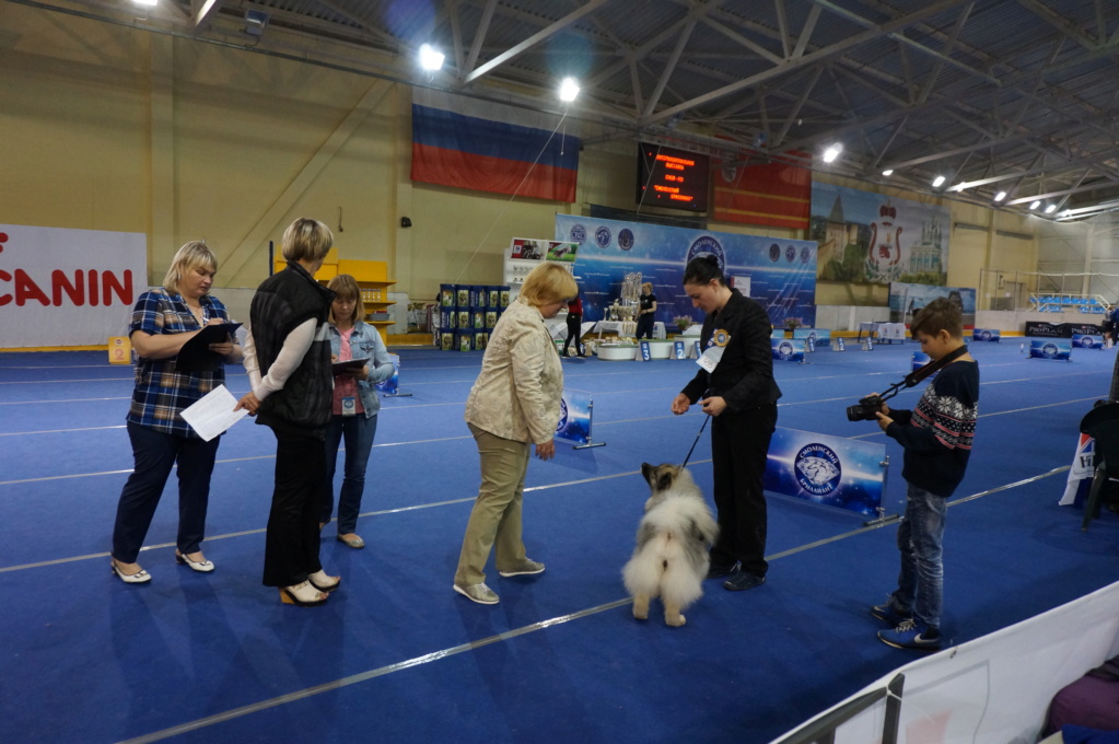 Айстраум - Страница 6 Dsc09614