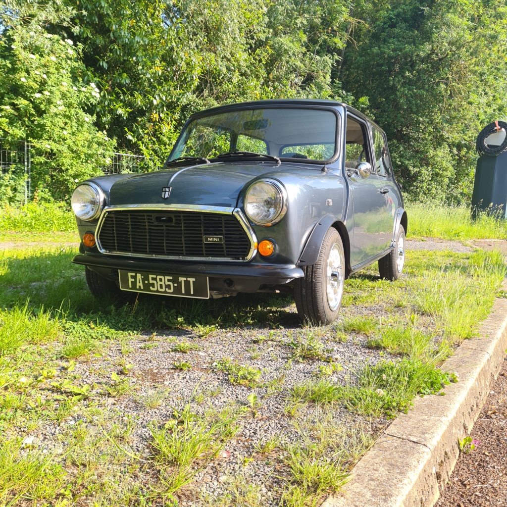 Restauration Mini 1000 '91 20210610