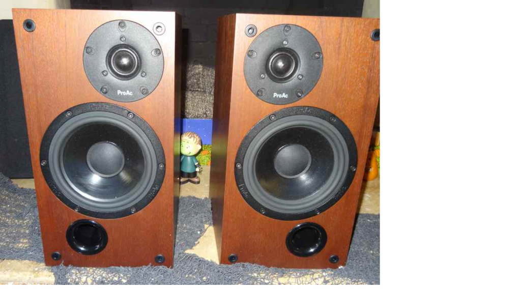 ProAc studio 110 Speakers(sold) 212