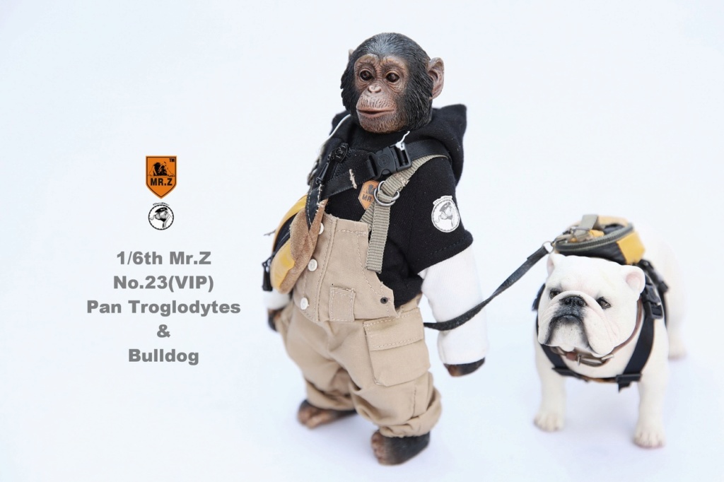 NEW PRODUCT: Mr. Z 1/6 No.23 (VIP) - Pan Troglodytes & Bulldog 23365210