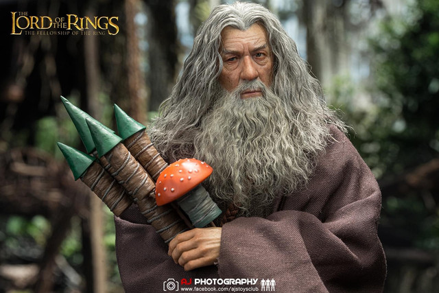 Movie - NEW PRODUCT: Queen Studios & INART: 1/6 The Lord of the Rings Gandalf (Grey Robe) Action Figure - Page 3 Cecf4612