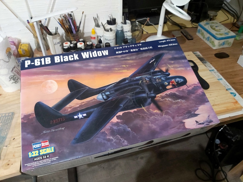 P-61A-10 Black Widow SN 42-5598 "Sleepy Time Gal II" Cpt. Ernest Thomas - 6th NFS - 1945 (1/32) 20200421