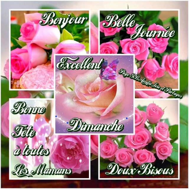 DIMANCHE 26 MAI 2019 Fete-d13