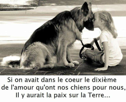 Humour Et Citation En Image