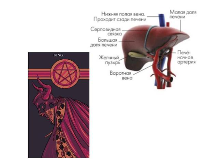 Масть пентаклей и физиология 210