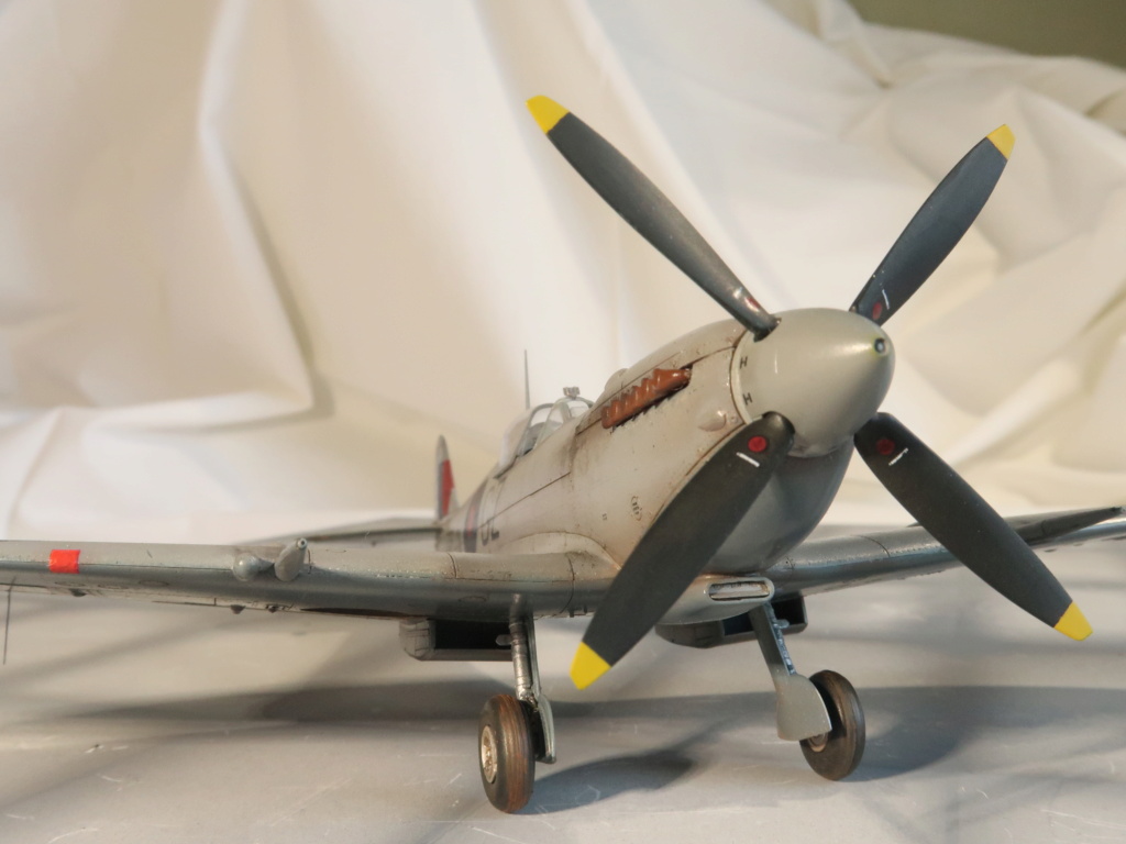 [GB Eduard] Spitfire HF Mk. VIII [Eduard Week-End] -1/48 - JF 364 N°32 Squadron - Foggia, Italie - début 1944 Img_0135