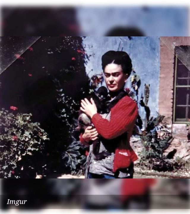 La amarga vida de la artista mexicana Frida Kahlo Scree261