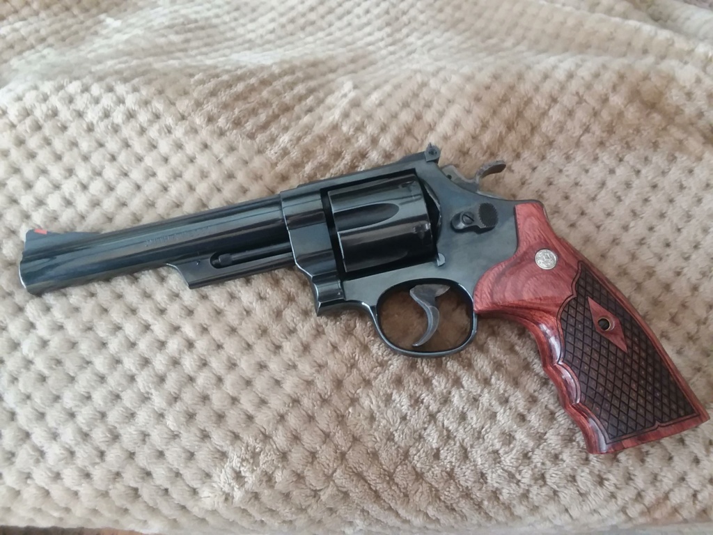 Service Revolver Grips 20200910