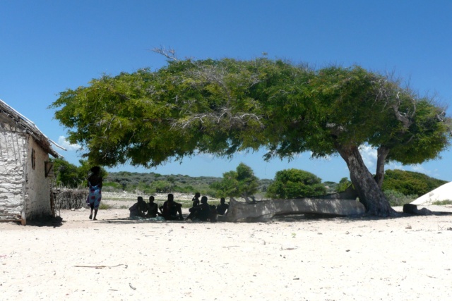 Madagascar : Un aperçu de ses facettes.   2910