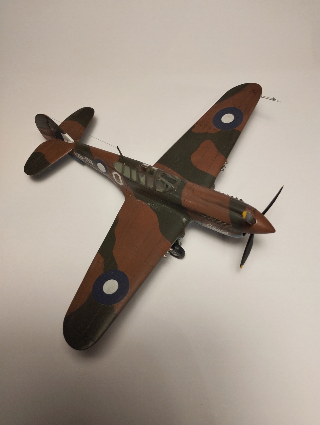 [AZ Model] P40E KITTYHAWK 1a FINI Img_2129