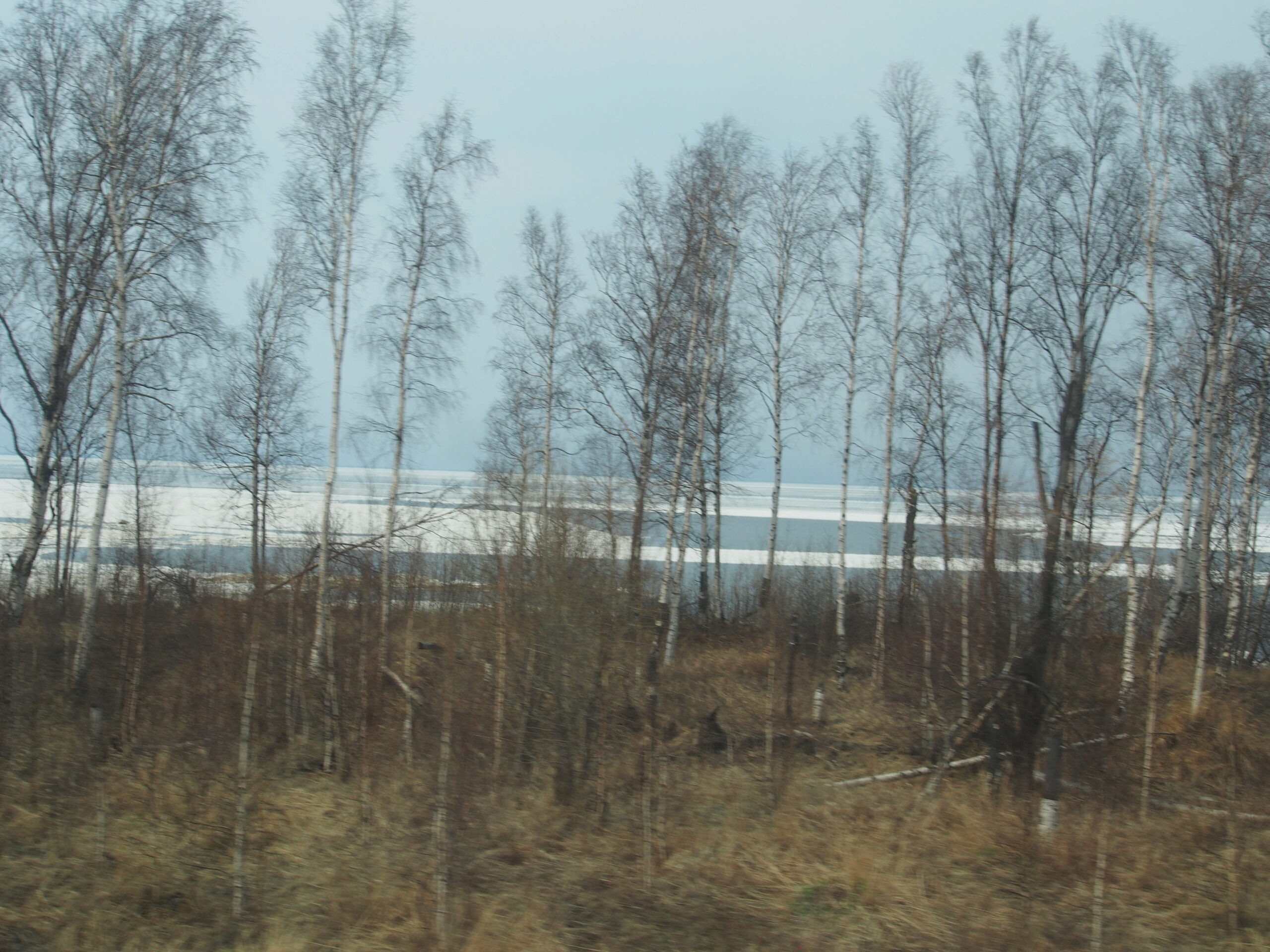 Russie Sibérie : Récit de voyage en Transsibérien:  File1315