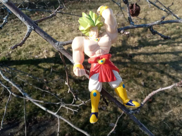 My Fun day at the park BROLY Park710