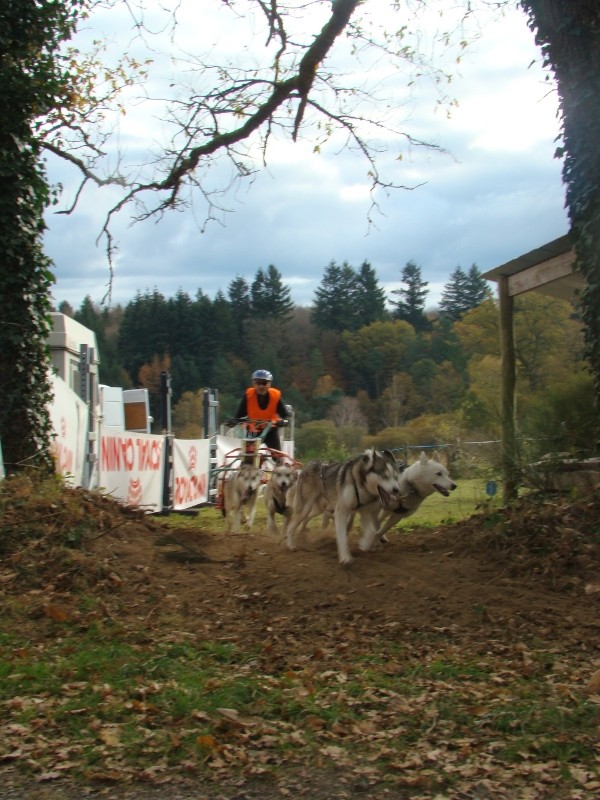 ST PARDOUX (87) le 19-20 novembre 2011 14_sta10