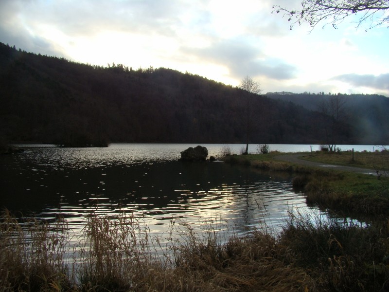 Puka et Chadka au Lac Chambon 20_lac10