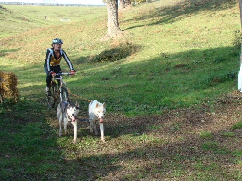 Course de MONCOMBROUX-LES-MINES (03) Dsc08619