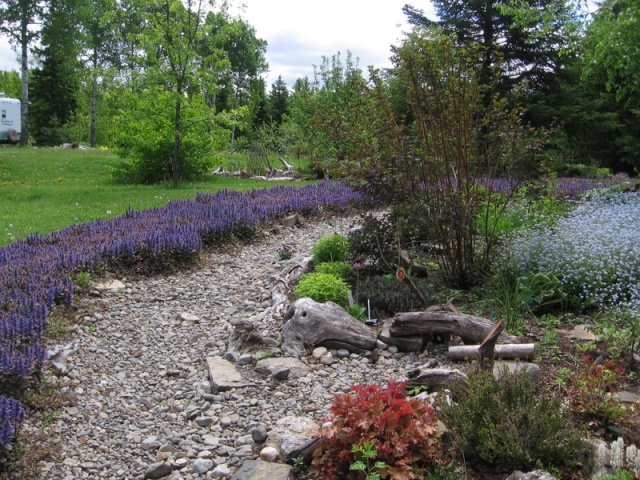 Jardin "Réveil des sens" et rivière d'ajuga - Page 11 11-06-42