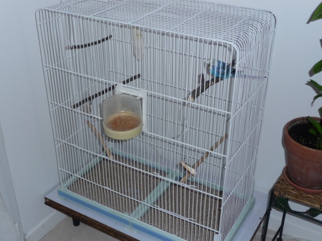 Bien organiser sa cage 2.0. Epidau11