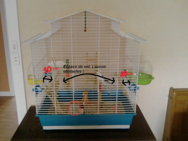 Bien organiser sa cage 2.0. Fly10