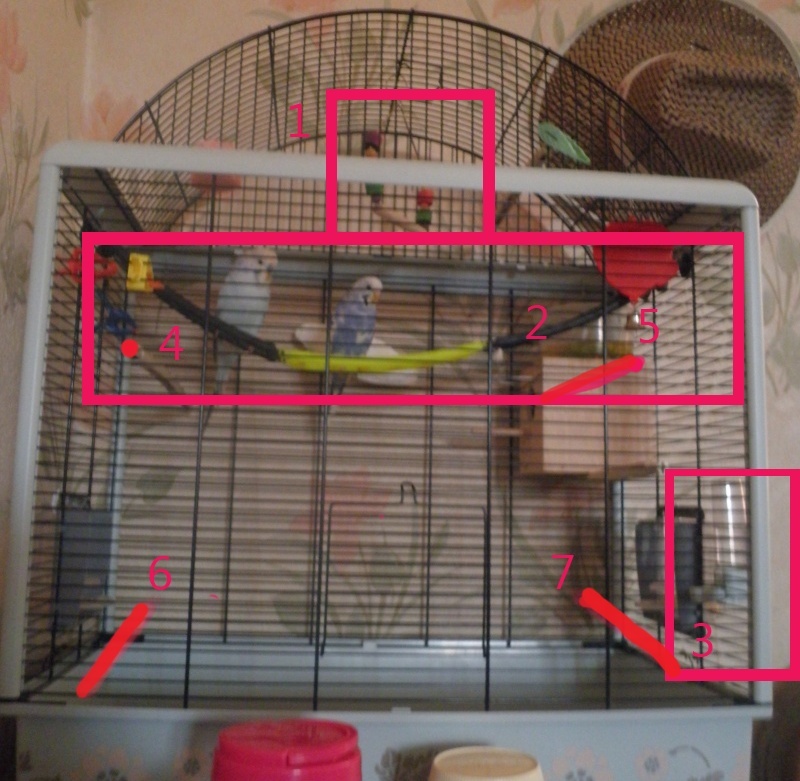 Bien organiser sa cage 2.0. Kitkat11