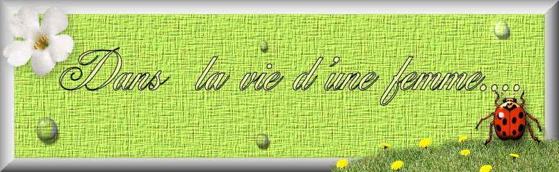 Dans la vie d'une femme ...
