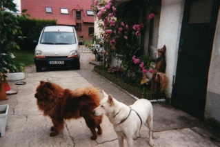 Shaïrka et Mingh les 2amours de Scheilla Heinkh10