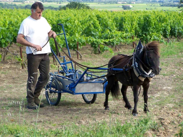 La caravane à POMPOM Pompom43