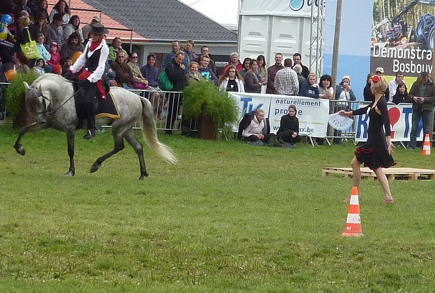 Aujourd'hui 23/7; je vais à la foire de Libramont 15010