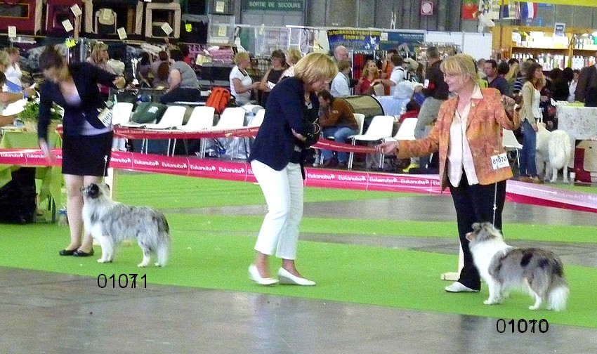  le CHAMPIONNAT de France, (v. 8 juillet) à Paris: REPORTAGE PHOTOS  Bleues11