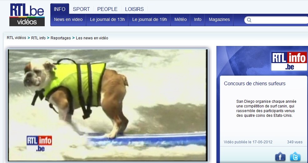 concours de chiens surfeurs. C10