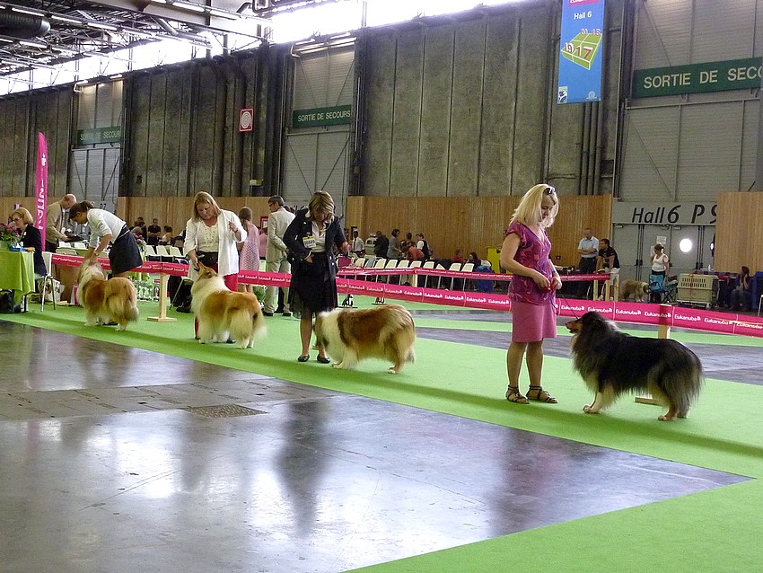  le CHAMPIONNAT de France, (v. 8 juillet) à Paris: REPORTAGE PHOTOS  Champ188