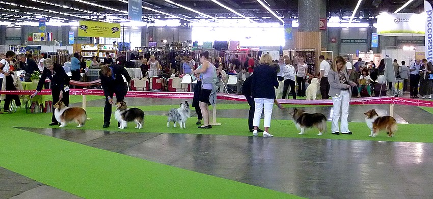  le CHAMPIONNAT de France, (v. 8 juillet) à Paris: REPORTAGE PHOTOS  Champi25